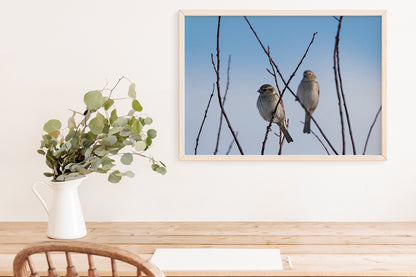 Bird Lover Gift:  Little Birds Wall Art