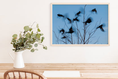 Bird Lover Gift: Flying Birds Wall Art