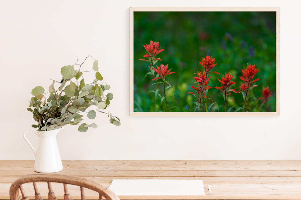 Indian Paint Brush Wall Art 2