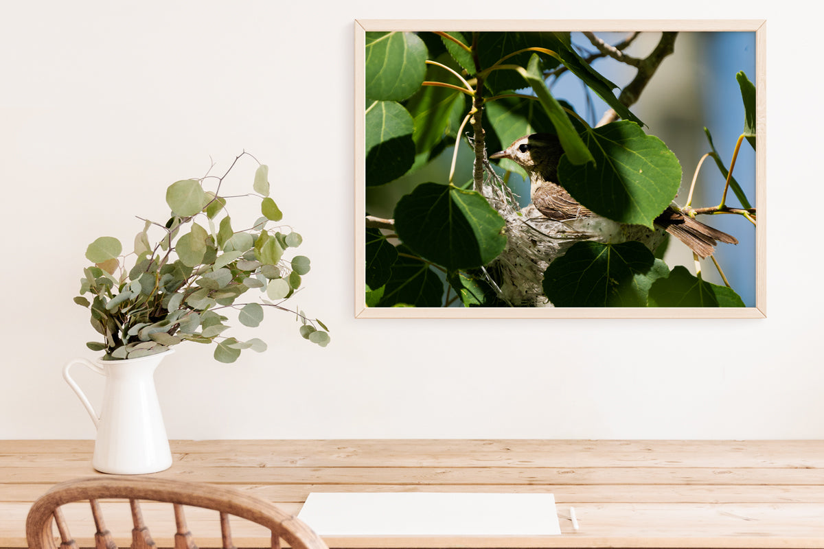 Bird Lover Gift:Bird Nest Wall Art 3