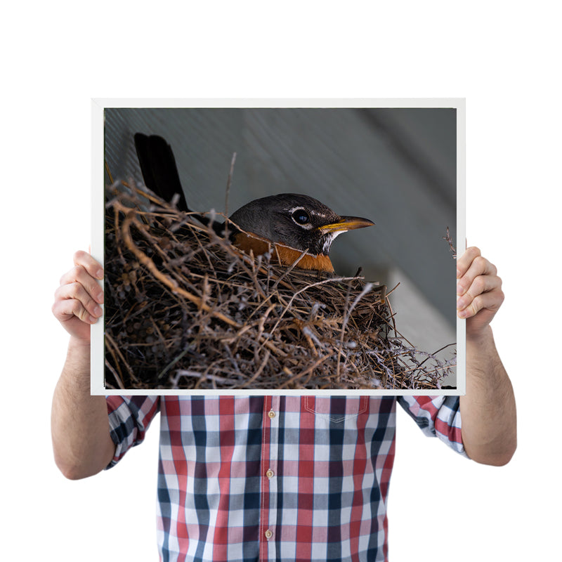 Bird Lover Gift: Mama Robin Wall Art