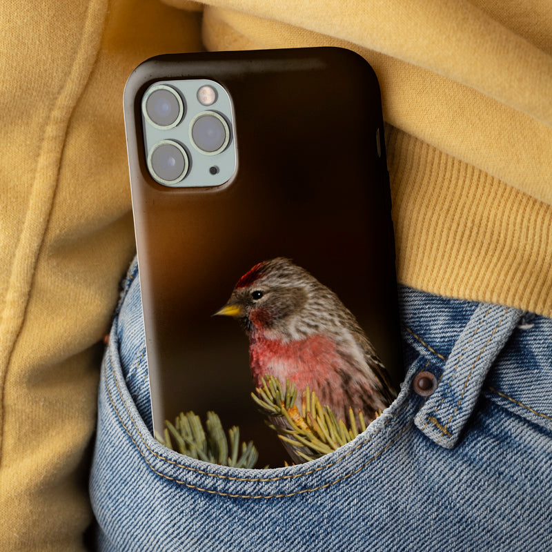 Common Redpoll Tough Case for iPhone®