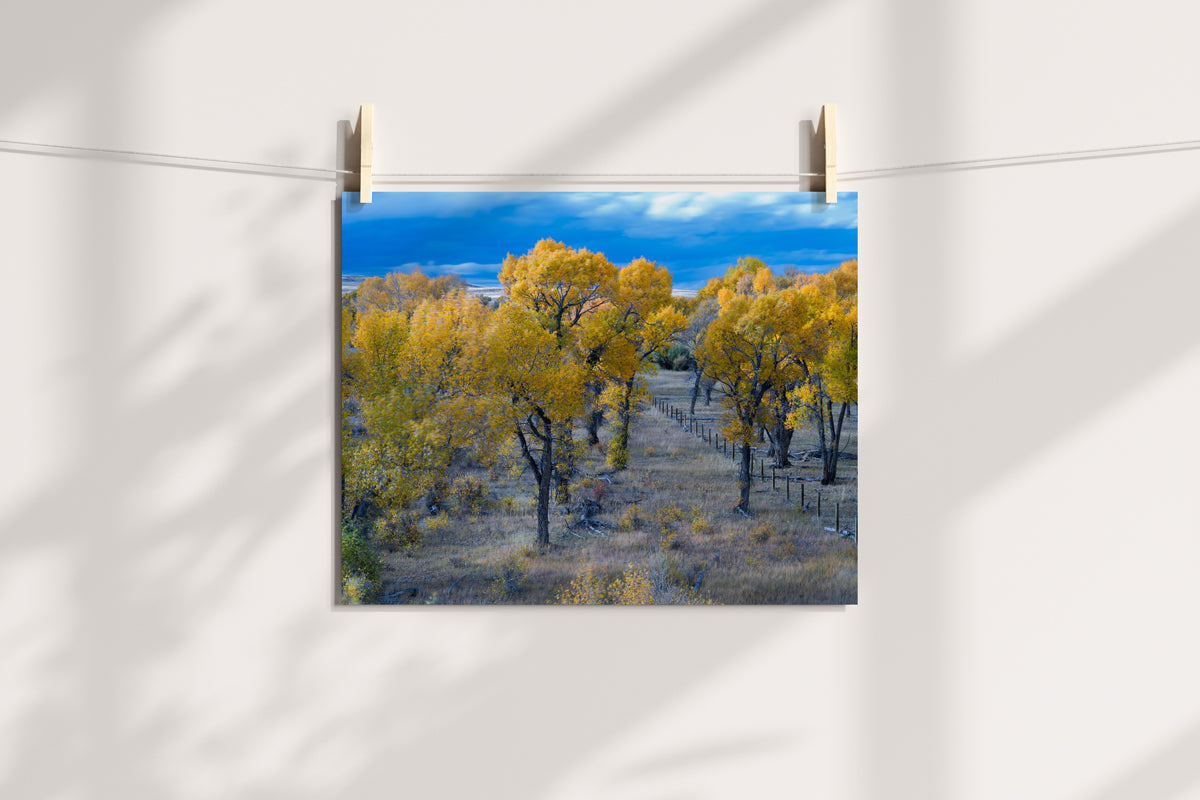 Wyoming Landscape in the Fall