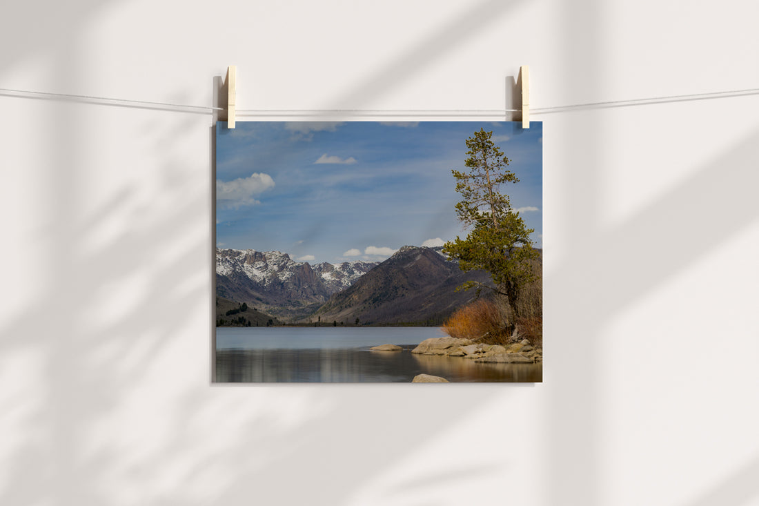 New Fork Lake Wall Art