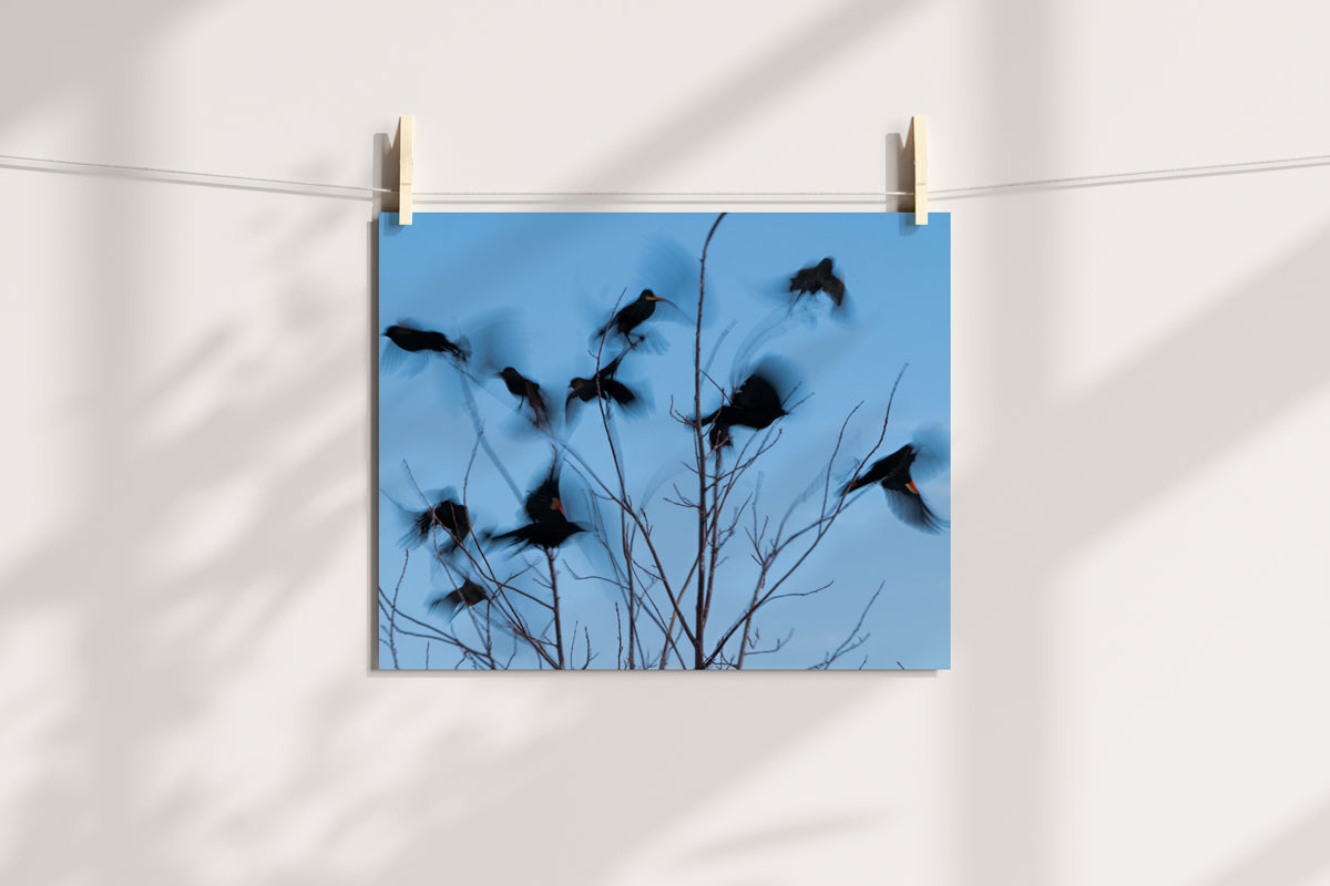 Bird Lover Gift: Flying Birds Wall Art