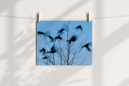 Bird Lover Gift: Flying Birds Wall Art