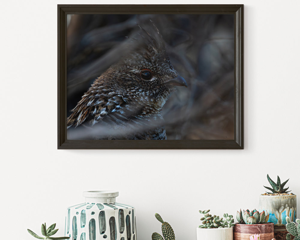 Wildlife Wall Art Transforms Your Home Grouse