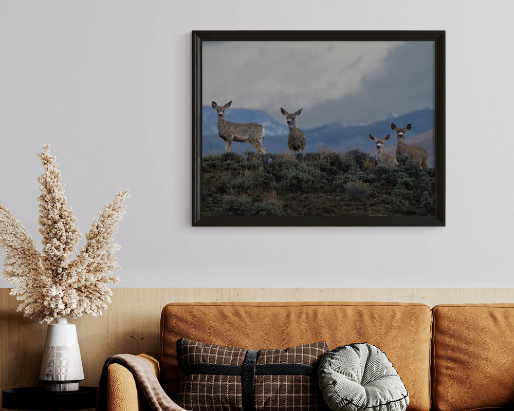 Chasing the Light: Why Wildlife Wall Art Transforms Your Home