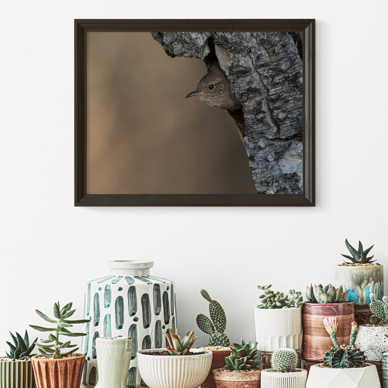 Wren Wall Art 2
