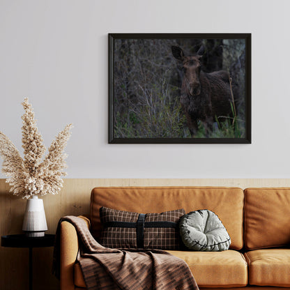 Moose Wall Art