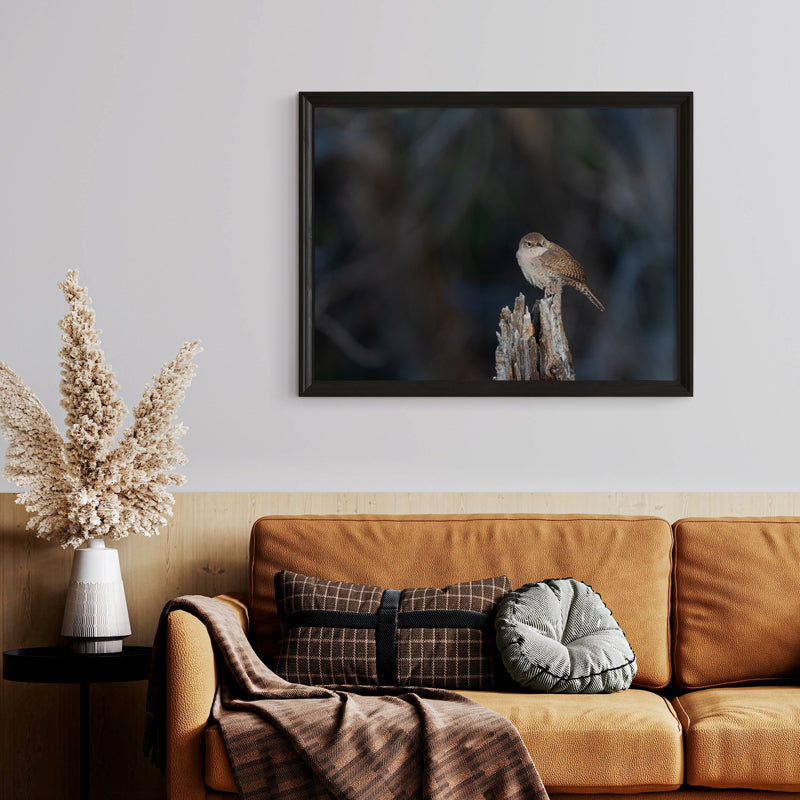 Wren Wall Art