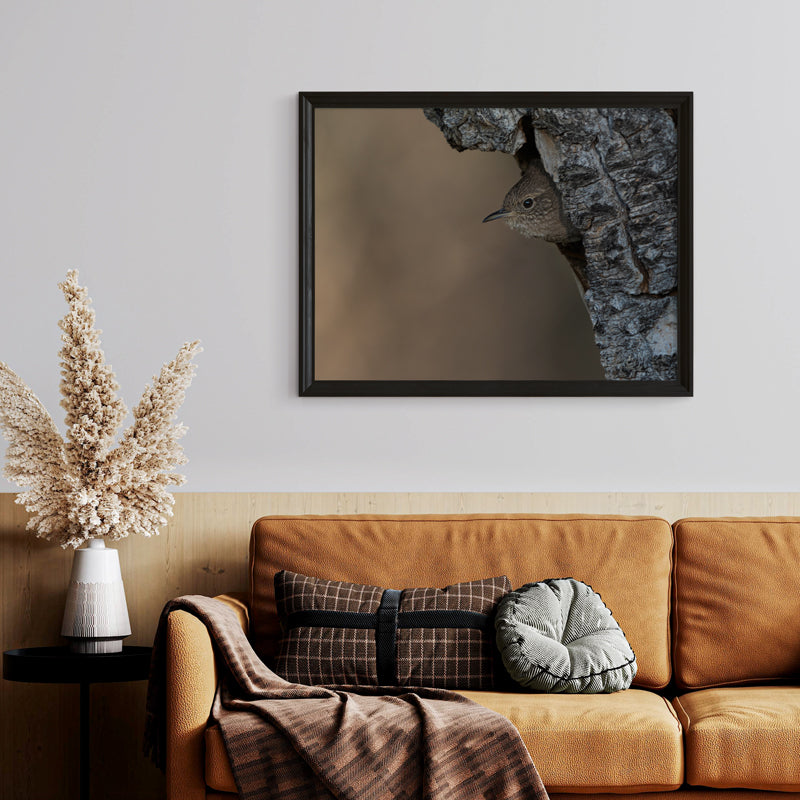 Wren Wall Art 2