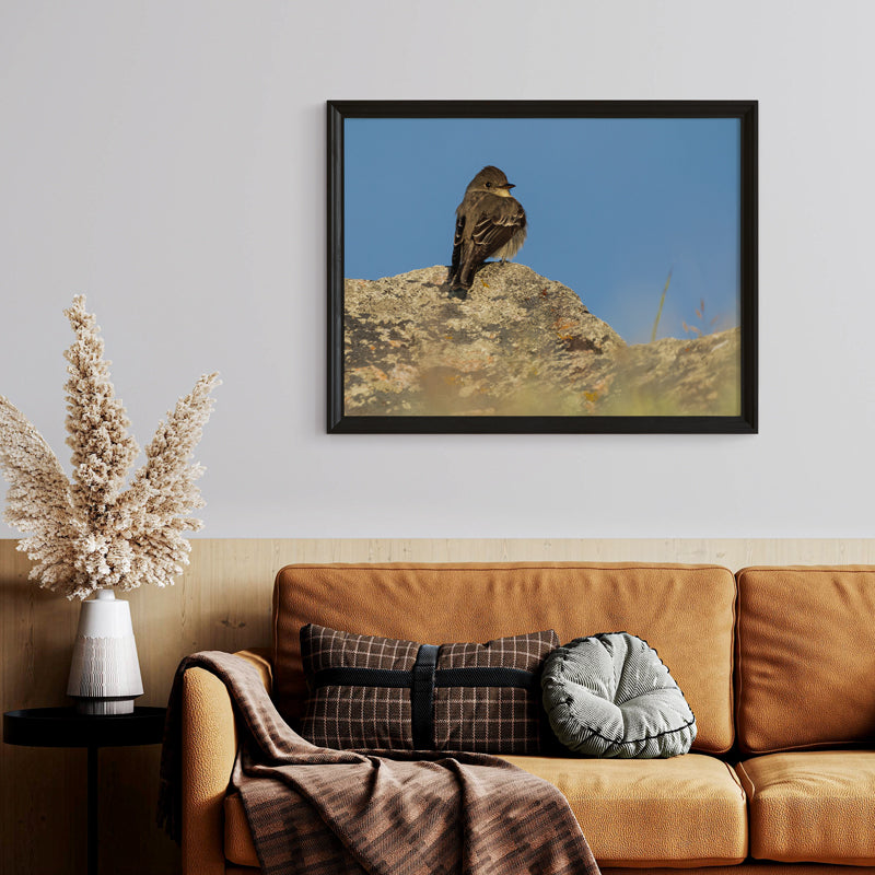 Tiny Bird Wall Art