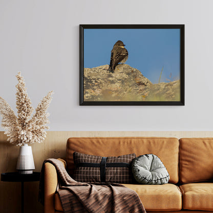 Tiny Bird Wall Art
