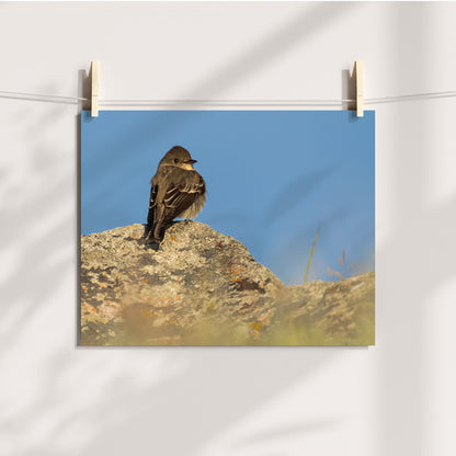 Tiny Bird Wall Art