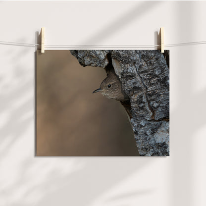 Wren Wall Art 2