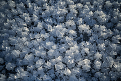 Frozen Lake Artwork: Nature’s Whisper Beneath the Ice