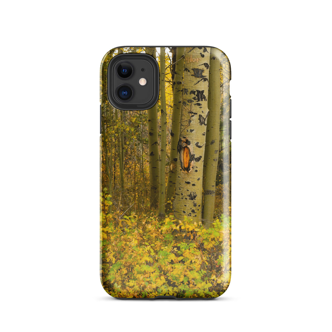 Fall Close Up Aspen Tough Case for iPhone®