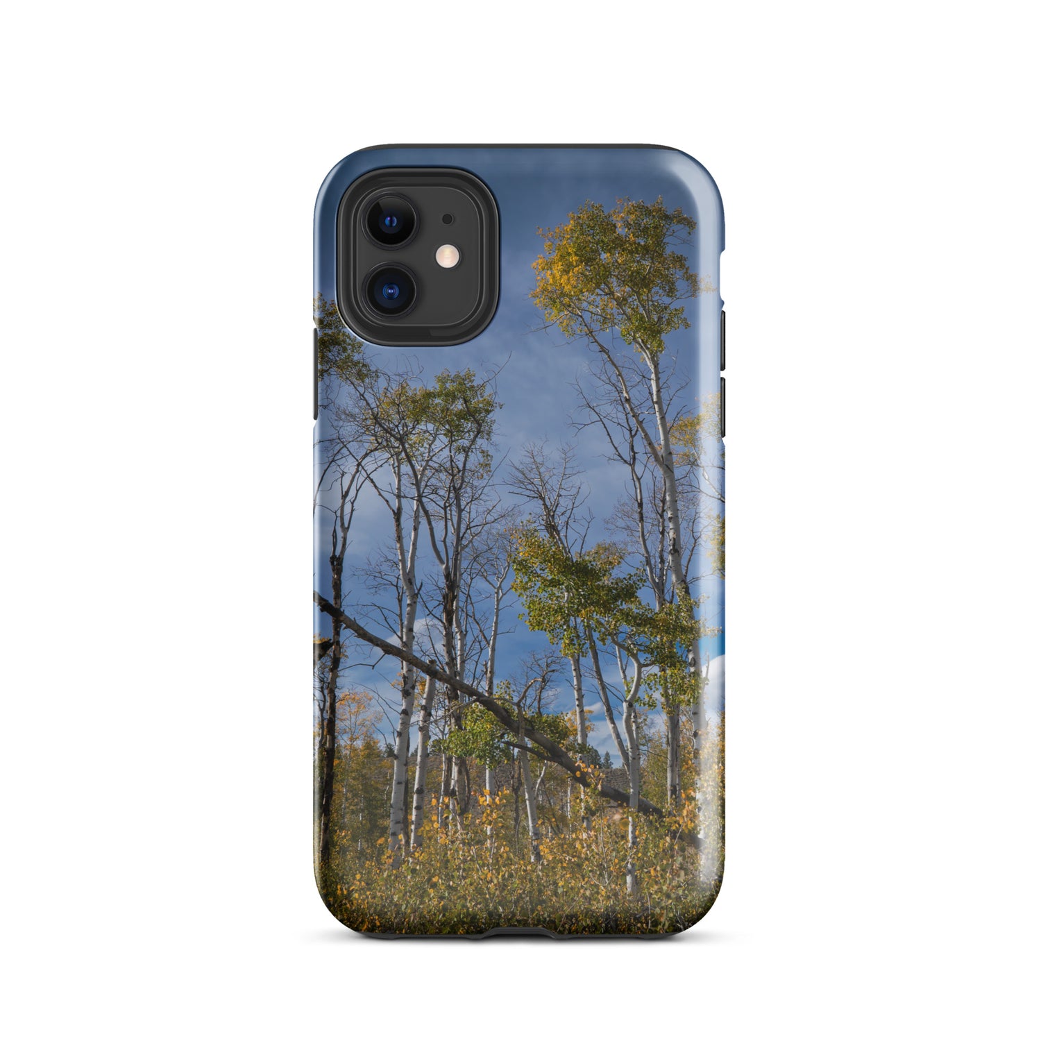 Aspens in the Fall Tough Case for iPhone®