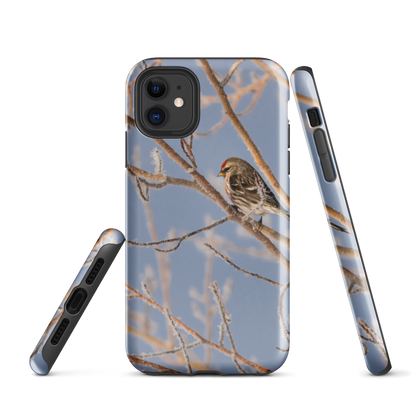 Common Redpoll Tough Case for iPhone®