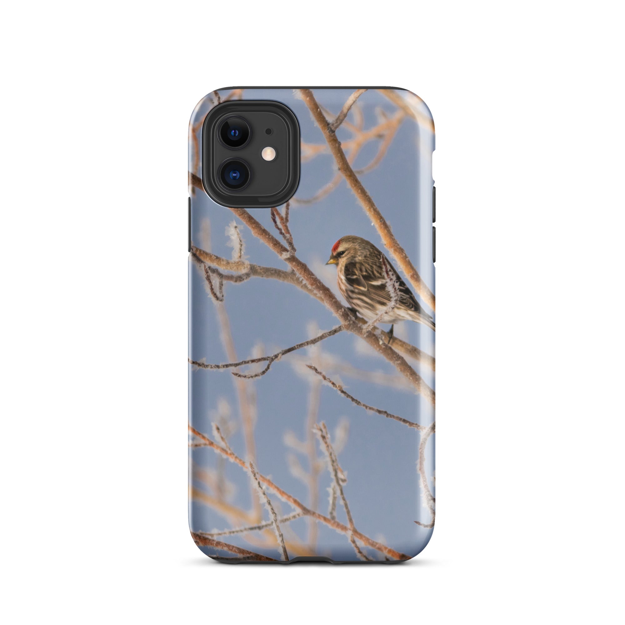 Common Redpoll Tough Case for iPhone®