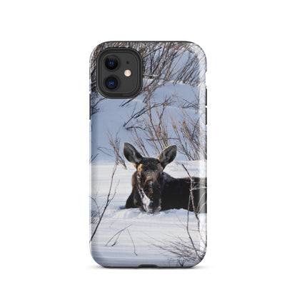 Moose Laying in the Snow Tough Case for iPhone®