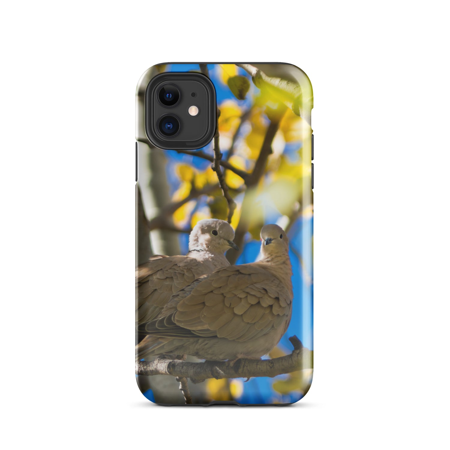 Eurasian Collared Doves Tough Case for iPhone®