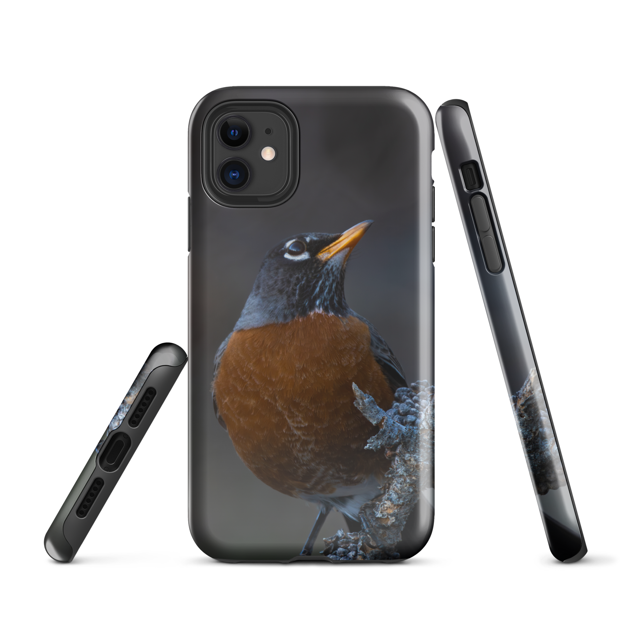 Curious Robin Spring iPhone Case