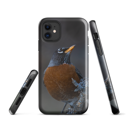 Curious Robin Spring iPhone Case