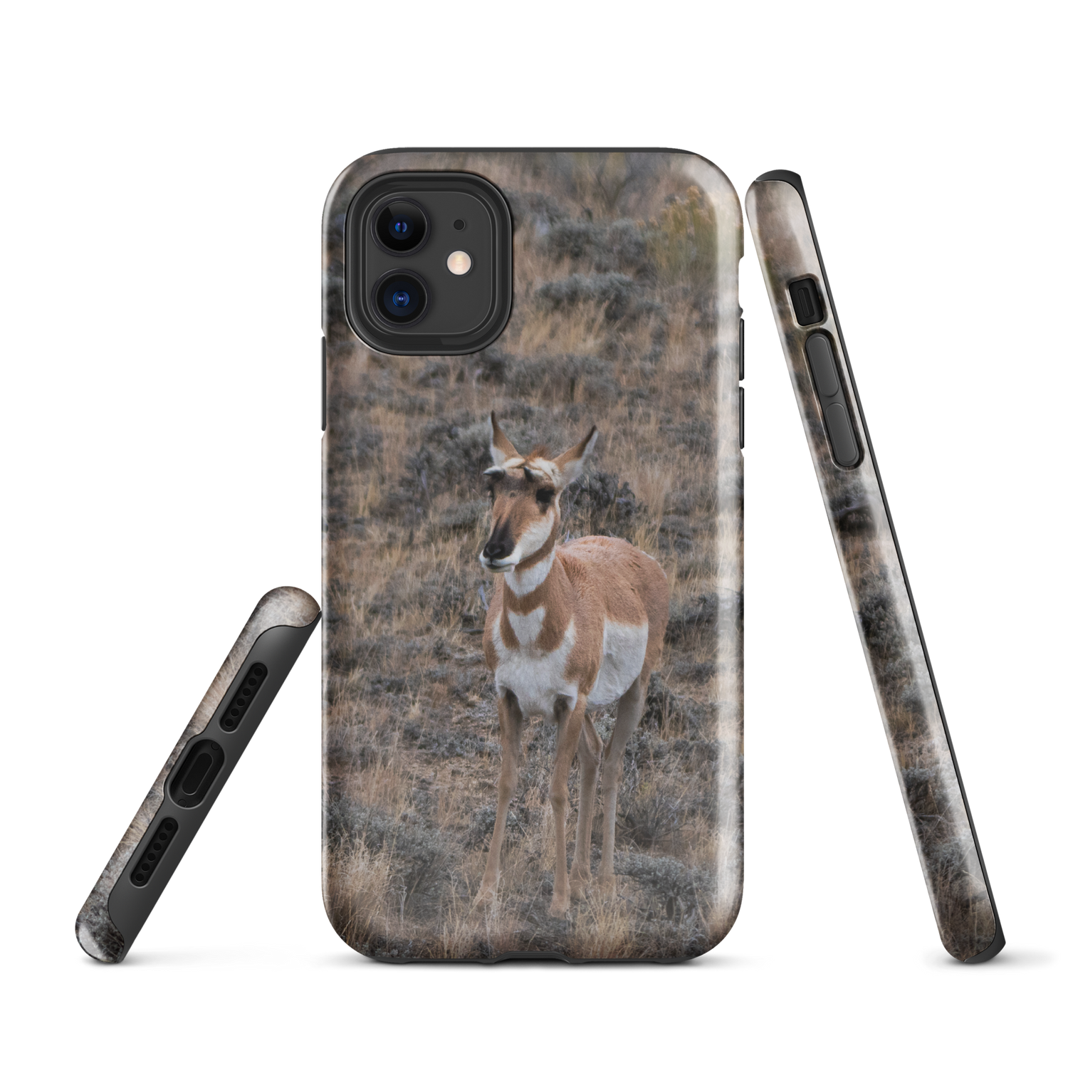 Pronghorn in the Fall Tough Case for iPhone®