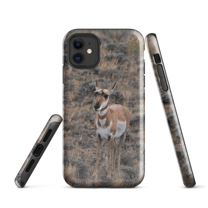 Pronghorn in the Fall Tough Case for iPhone®