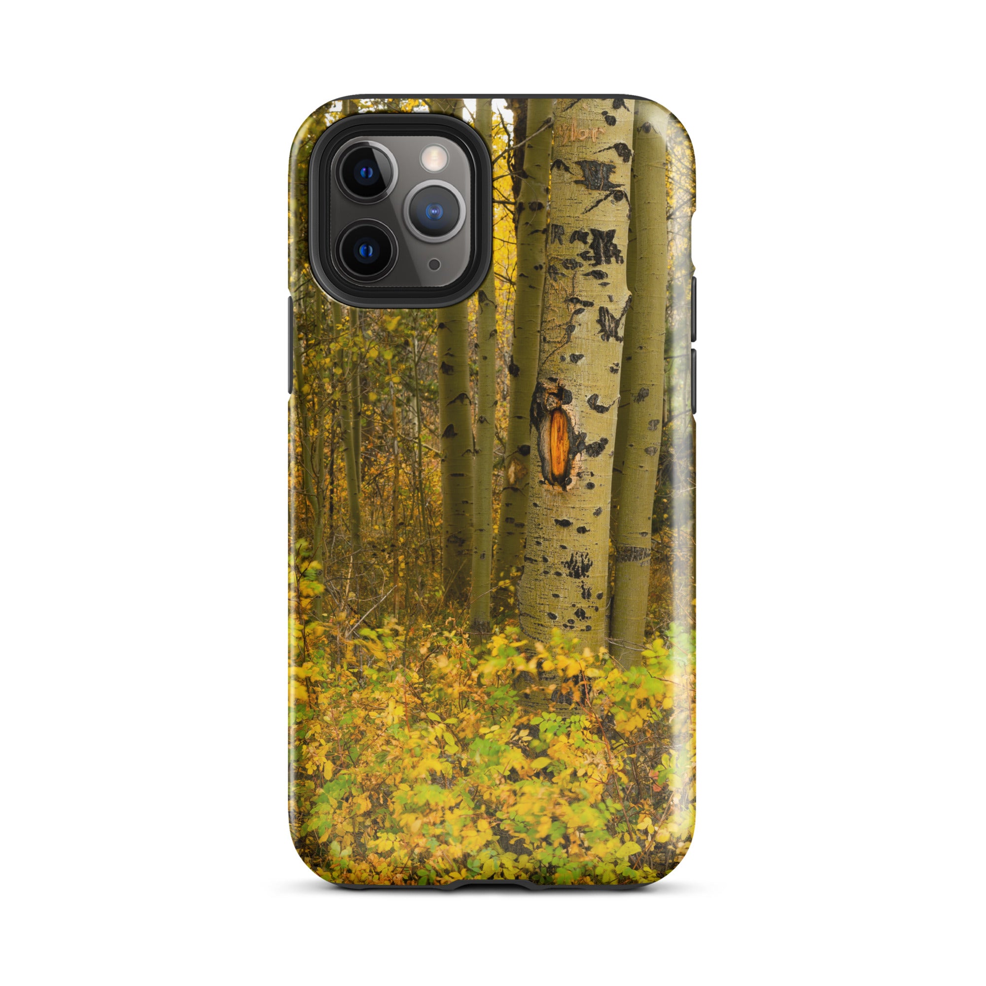 Fall Close Up Aspen Tough Case for iPhone®