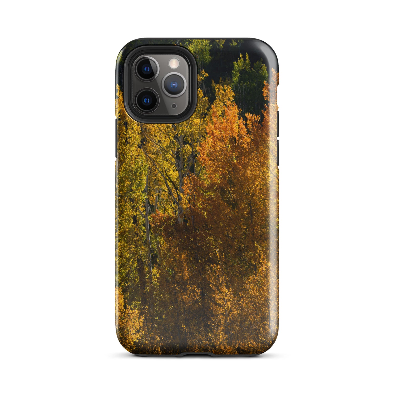 Aspens in the Fall Tough Case for iPhone®