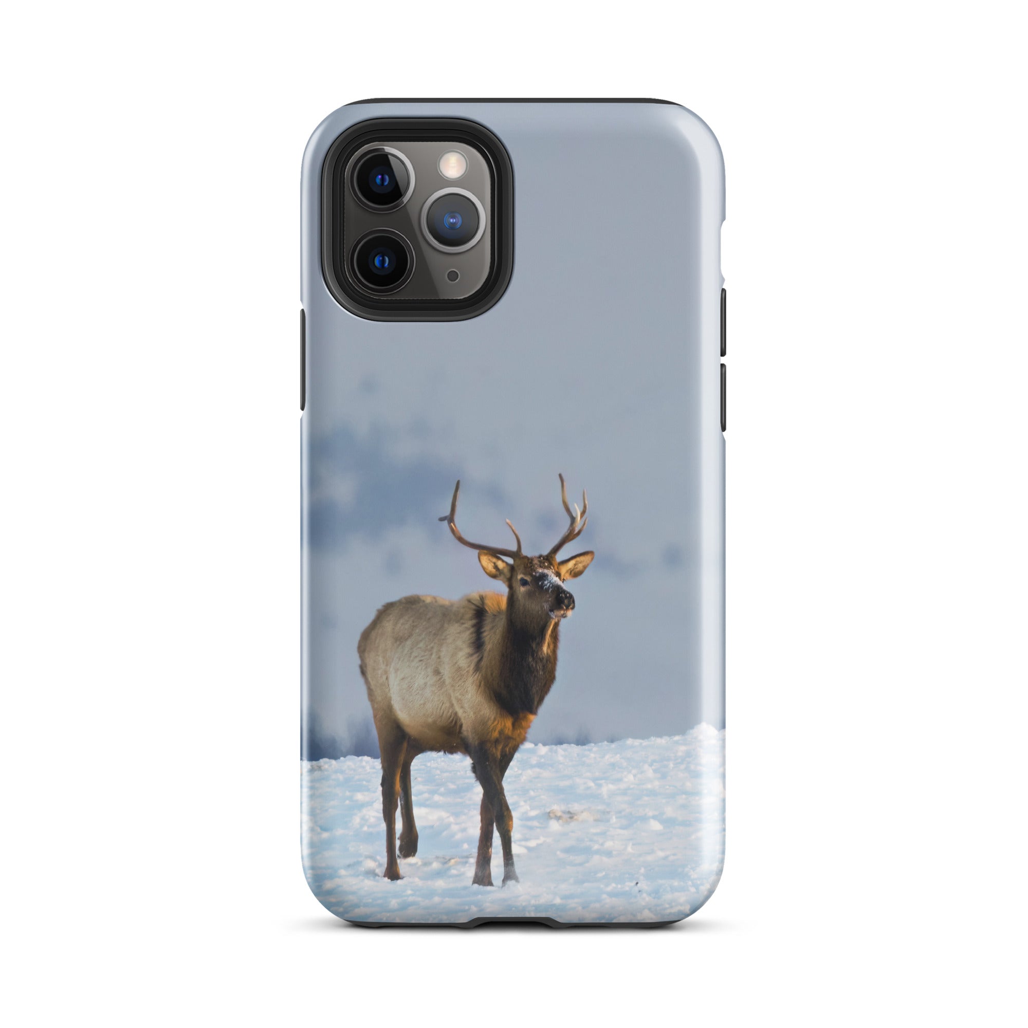 Elk in the Winter Tough Case for iPhone®