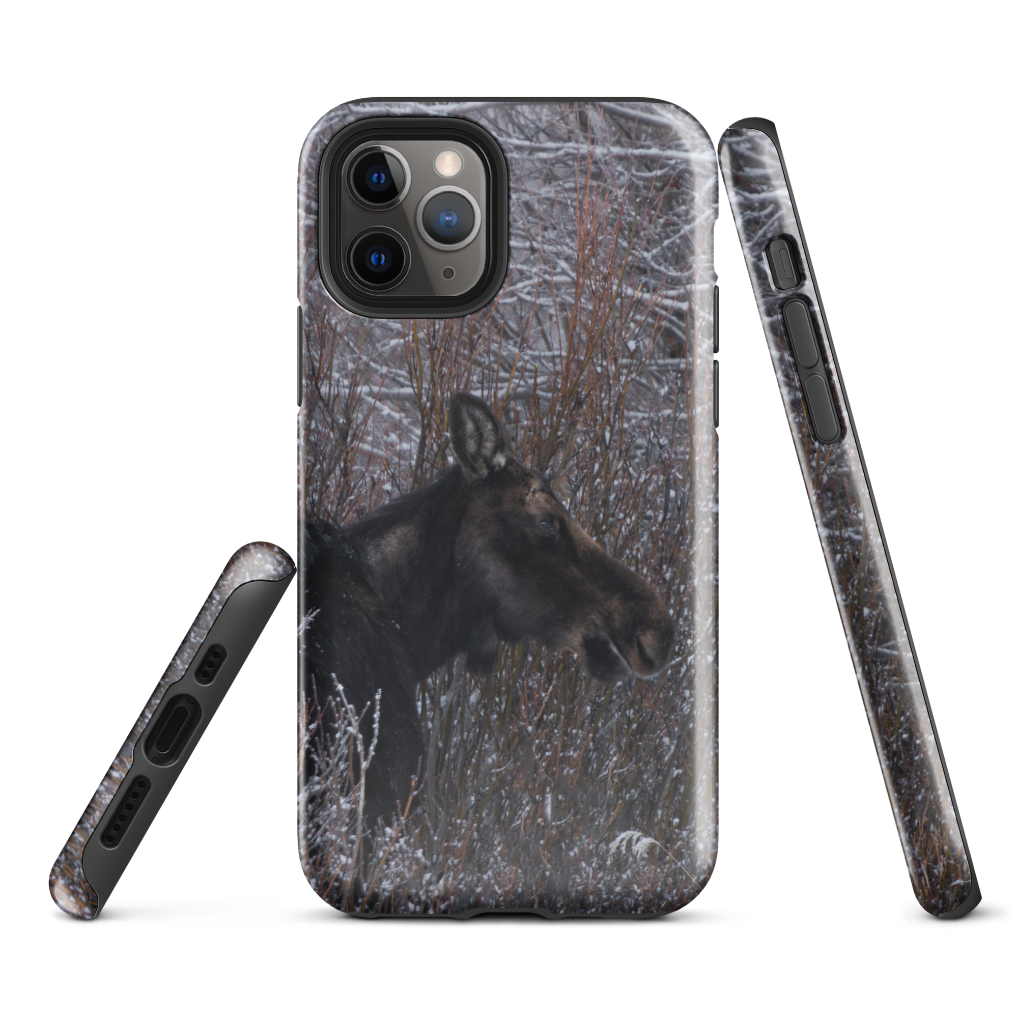 Moose Mornings: Protect Your Phone with a Wilderness Touch