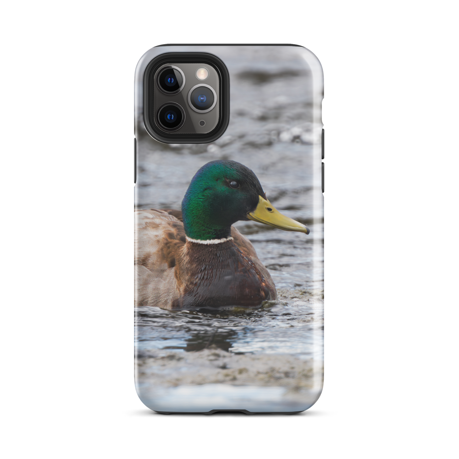 Hidden Beauty iPhone Case