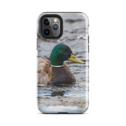 Hidden Beauty iPhone Case