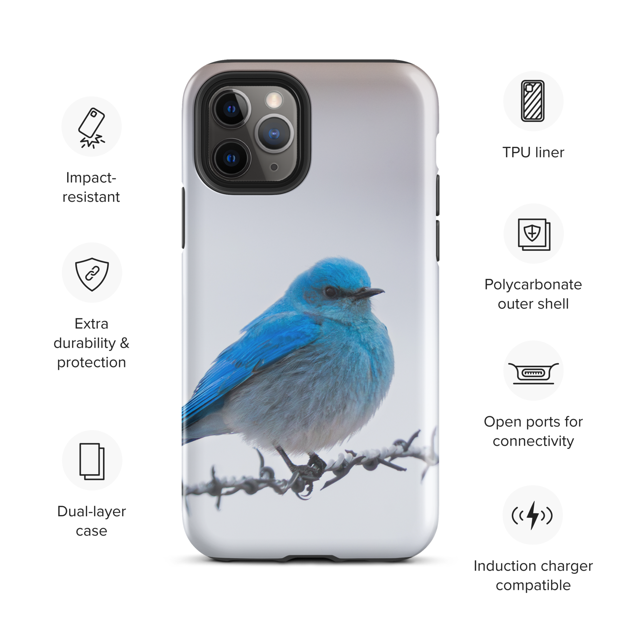 iPhone Cover and Mountain Bluebird Promise