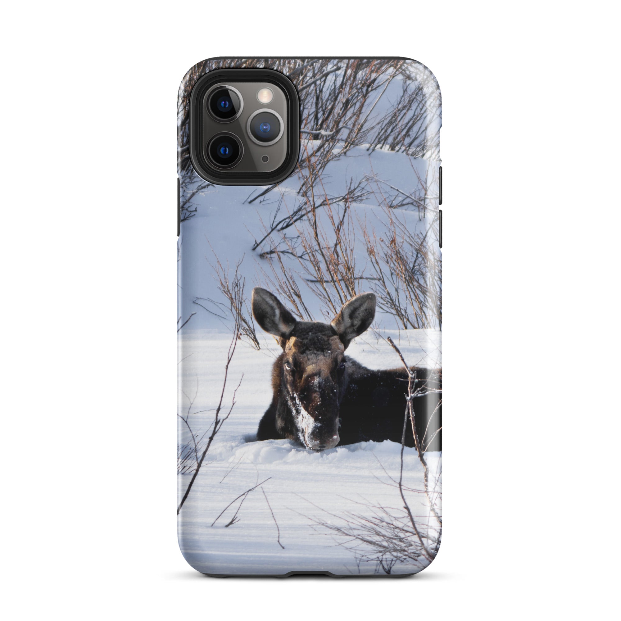 Moose Laying in the Snow Tough Case for iPhone®