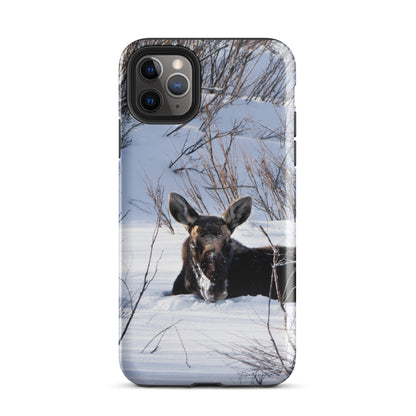 Moose Laying in the Snow Tough Case for iPhone®