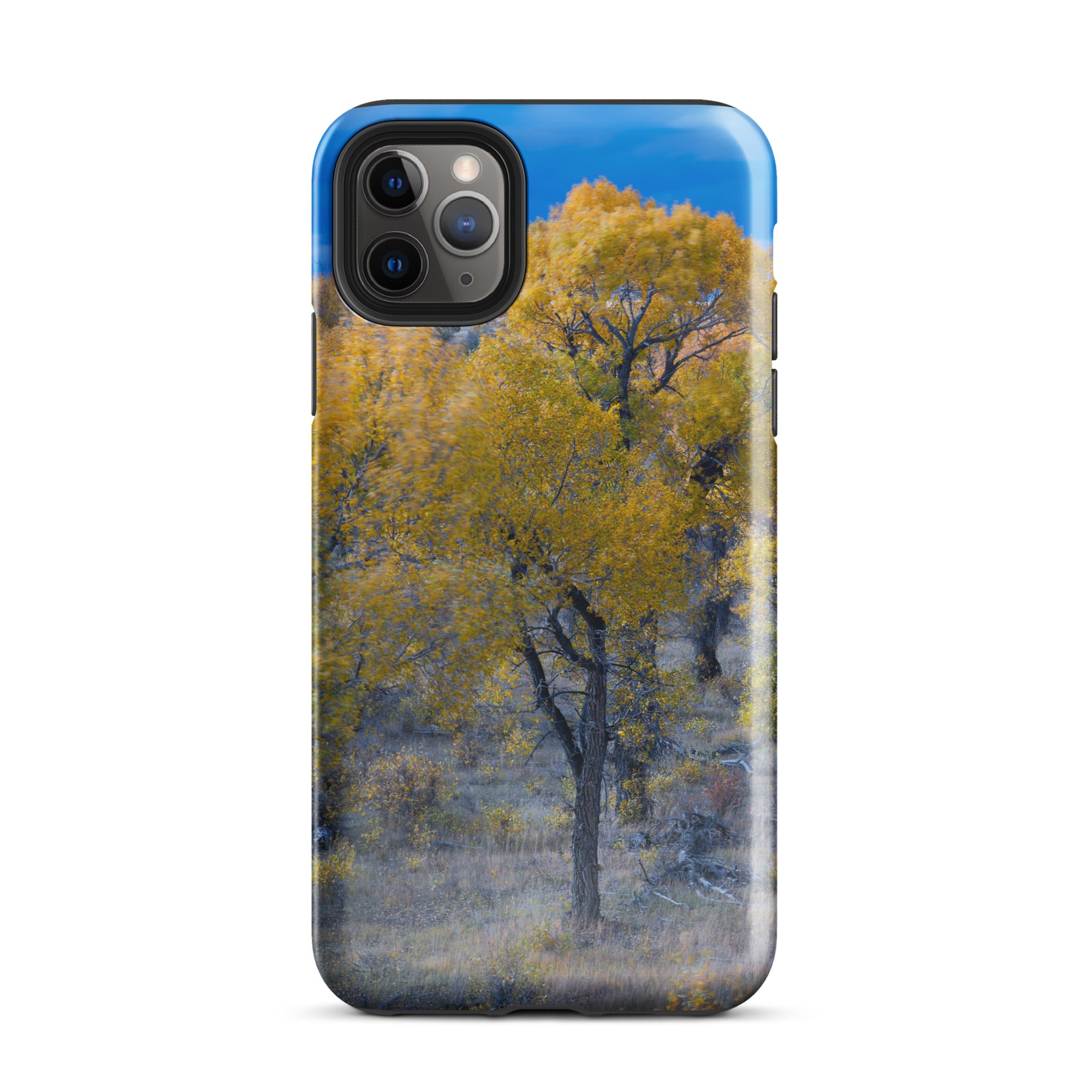 Wyoming Fall Landscape Tough Case for iPhone®