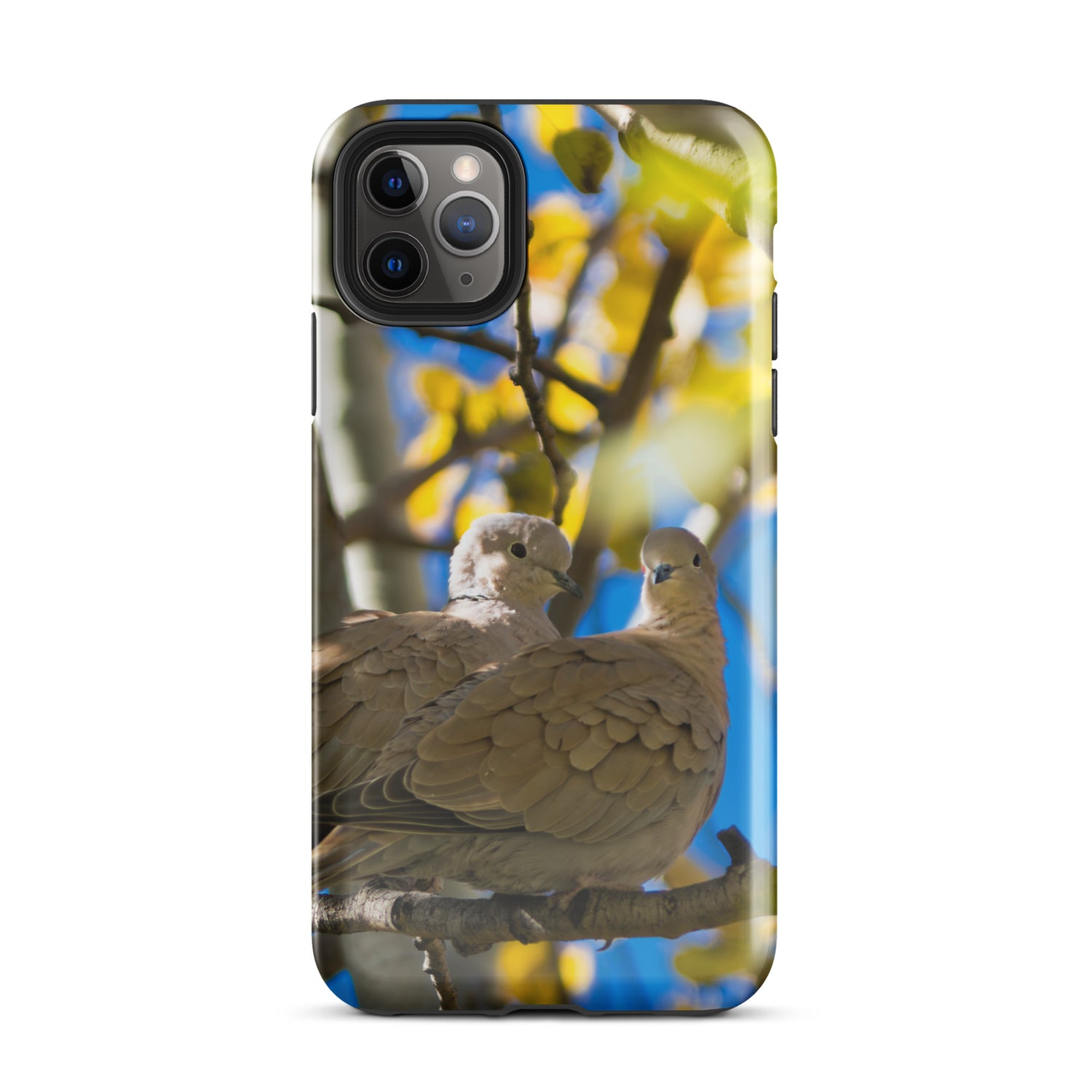 Eurasian Collared Doves Tough Case for iPhone®