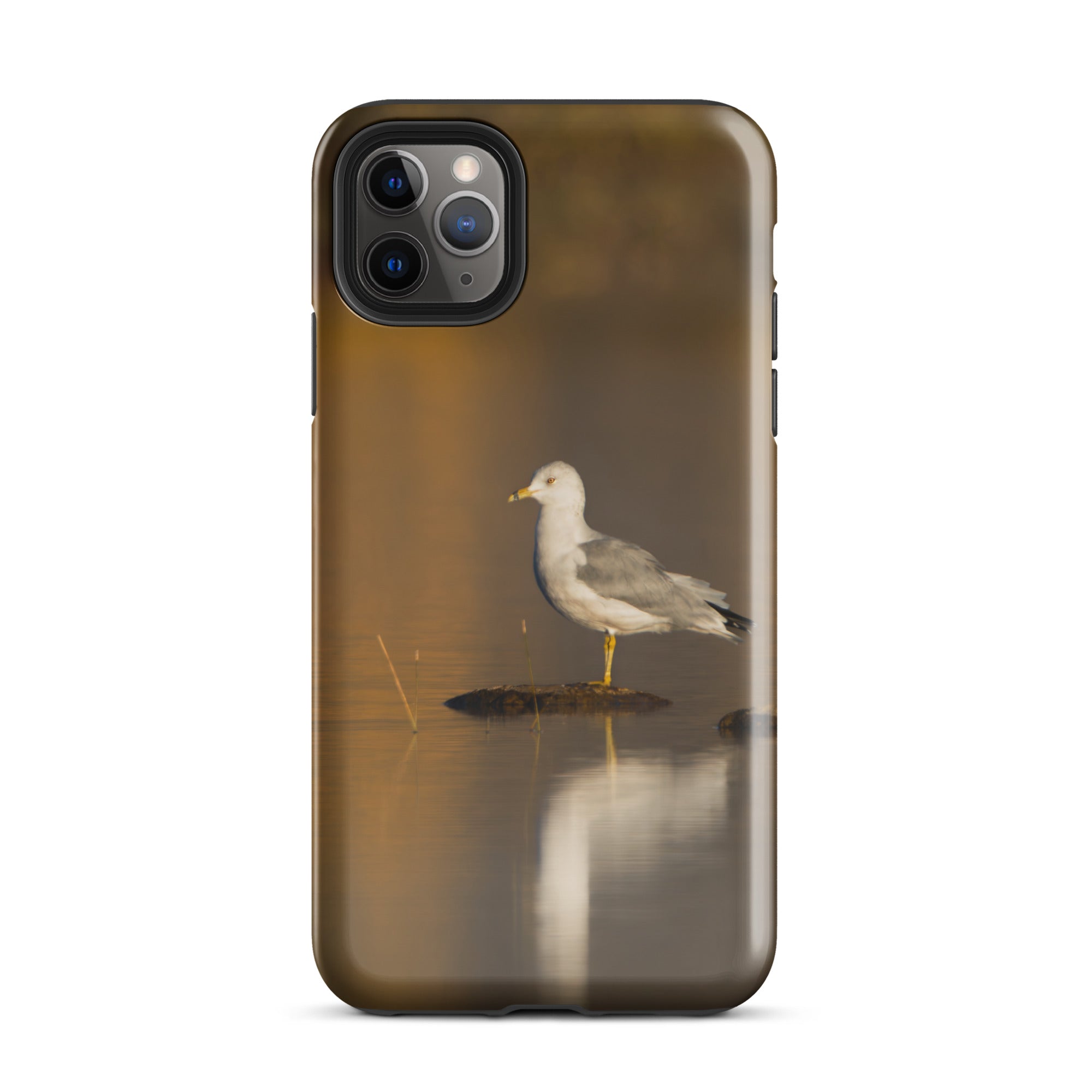 Ring Billed Gulls Tough Case for iPhone®