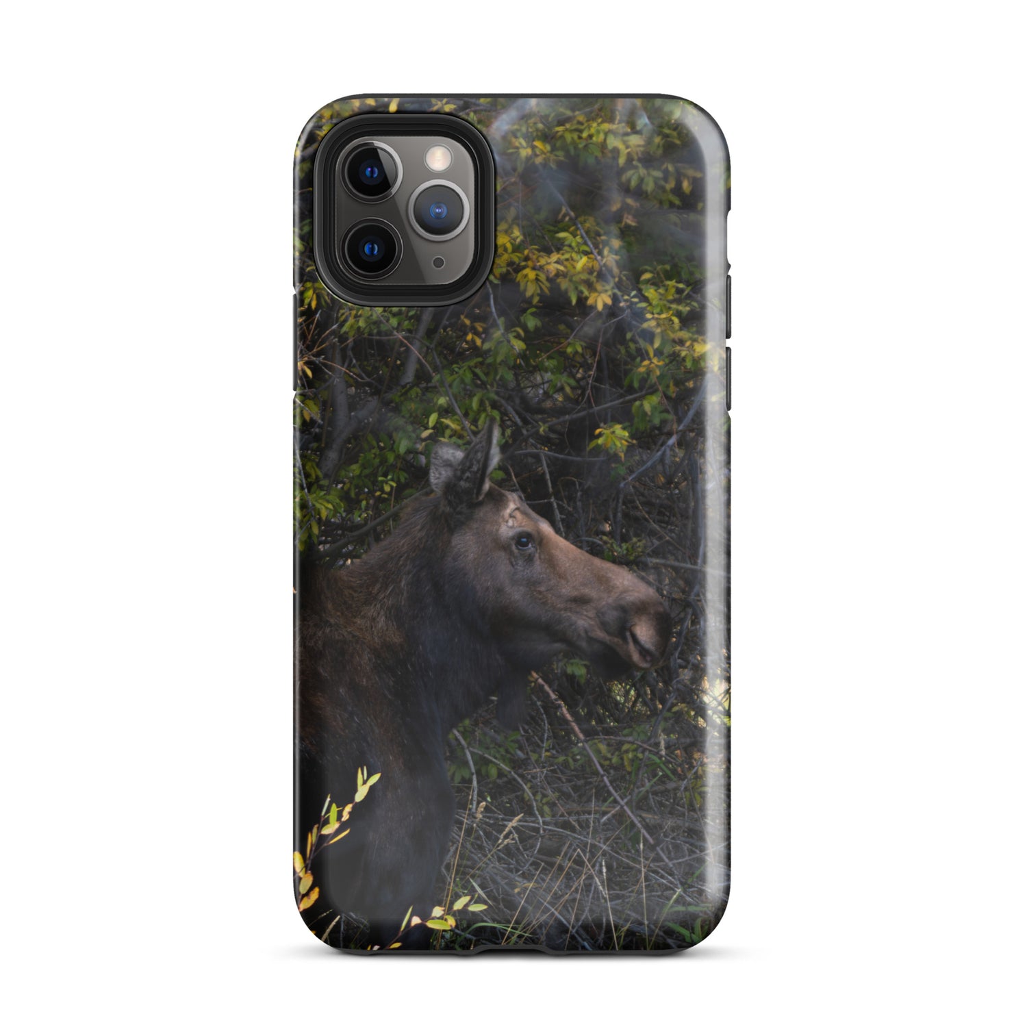 Moose Tough Case for iPhone®