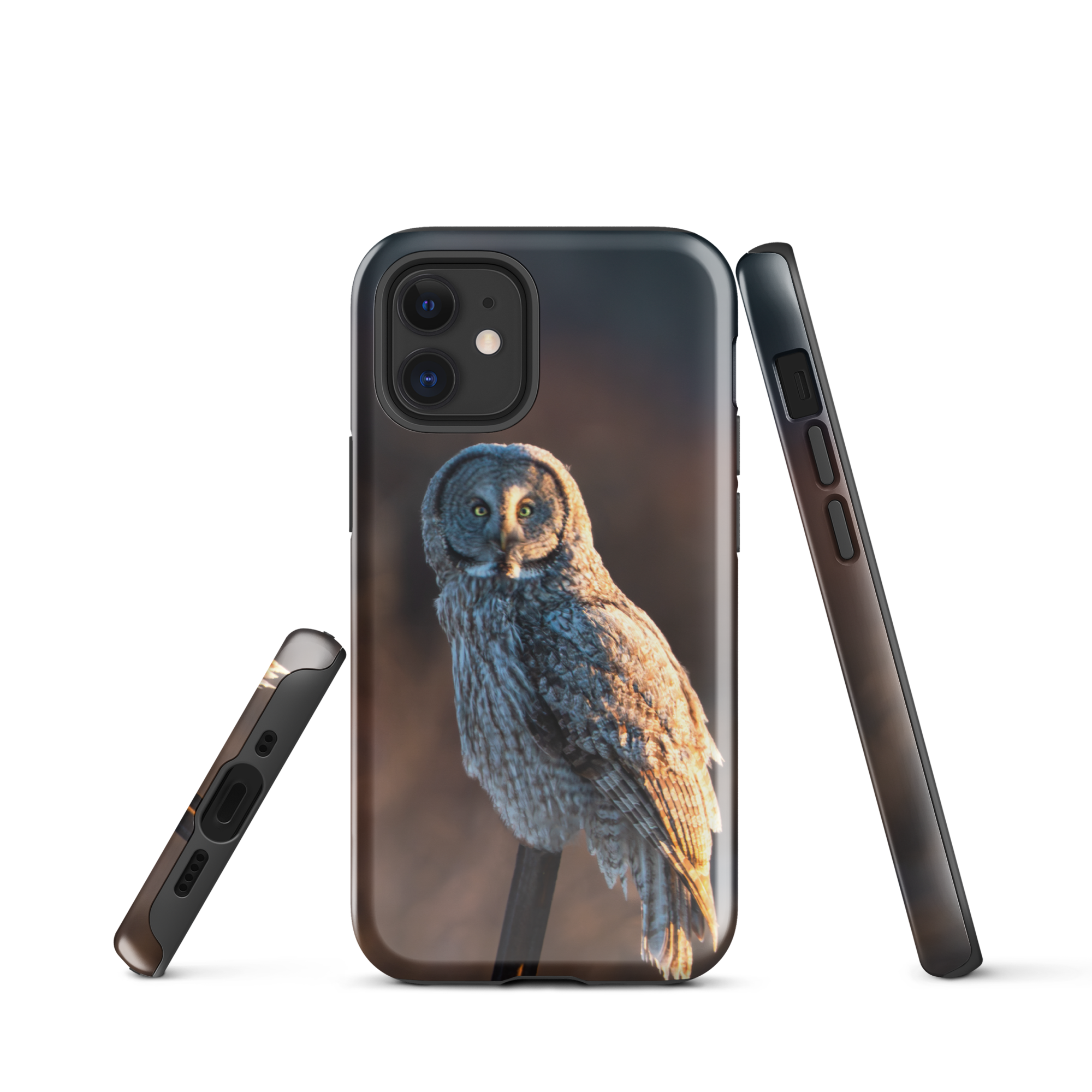 iPhone Cover and First Light Owl
