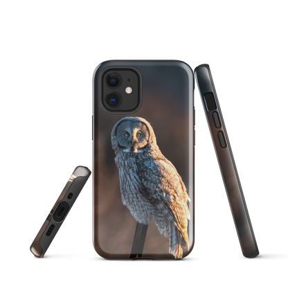 iPhone Cover and First Light Owl