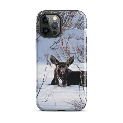 Moose Laying in the Snow Tough Case for iPhone®