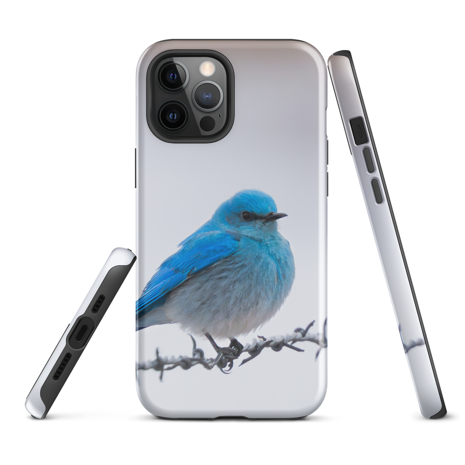 iPhone Cover and Mountain Bluebird Promise