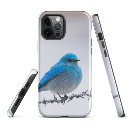 iPhone Cover and Mountain Bluebird Promise
