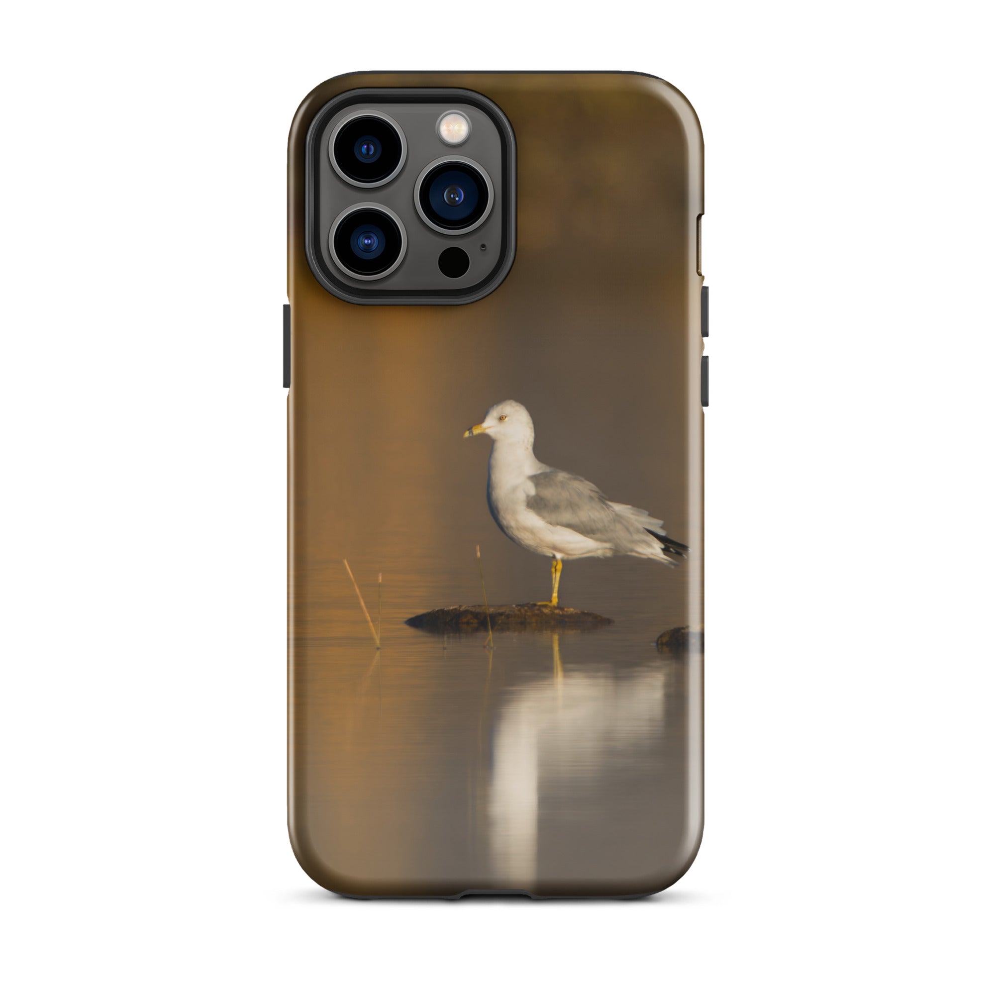 Ring Billed Gulls Tough Case for iPhone®